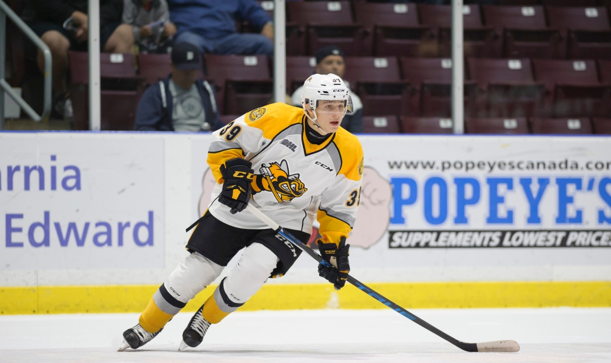 5 Underrated 2019 NHL Draft Prospects